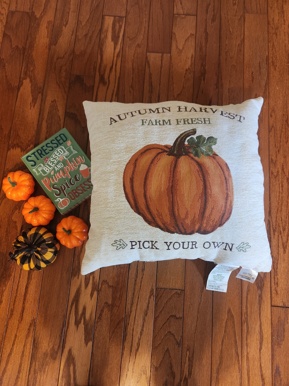 Autumn Harvest Pumpkin Pillow & fall Decor Bundle